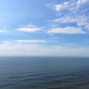 Meet your Posher, Savannah